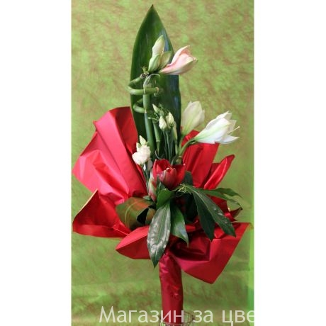 FlowerShopABIred-beauty